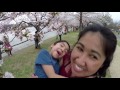 2017 03 25 Cherry Blossom Part III