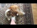Kimmers gets attacked by feet
