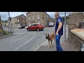 Dog walks the REALLY HIGH daring wall of death - Canal Boats and ducks 😳🐶🚤✔🦢