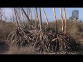 Naturaleza Extrema de Almería. Un viaje por su interior.