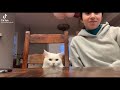 Try Not To Laugh 🤣 New Funny Cats Video 😹 - Tuxedo Cat Part 55