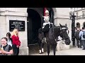 Meet Ormonde: The King’s Guard Horse That Keeps Tourists at a Distance! 🐴🚫