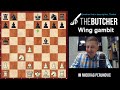 Crush Sicilian Players With The Wing Gambit!!