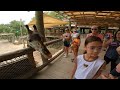 Enter and Stroll at the Brevard Zoo | Melbourne FL | Connect with Wildlife & Nature | July 2024