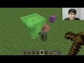 Animal Vs Hoe Minecraft