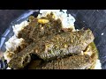🇹🇹🇬🇾 cooking Hassa curry Armored catfish Florida.#Guyanesecurryfush#,