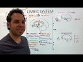The Limbic System - Motivation, Emotions, Memories, and Drives