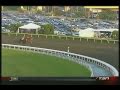 Zenyatta Breeders Cup Classic + Extended Post-Race Coverage (Stereo)