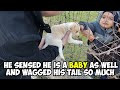 Small Puppy was Crying In Pain For Help until This Man Finally Heard Him