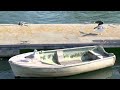 Gull Friends (Black Backed Gull and Heron Gull, Weymouth Marina)