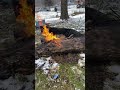 Fire in slow motion up close and warm. Burning log.