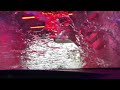 The Carwash Experience