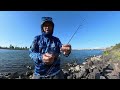 Carp Fishing at O'Neill Forebay Reservior 2024 nuv ntses pam nais