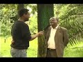 Ethiopian comedy ዶኪሌ አይዶል ሾው አስቂኝ ጭውውት 😂😂