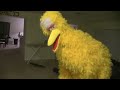 Big Bird Kicks Down Door (Original)