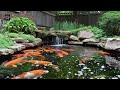 Exploring The Art of Wabi Sabi Inspired Courtyard Design & The Enchanting Koi Pond's Natural Beauty