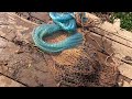 Cast net fishing in the after noon at the small river in dry season, amazing fishing video