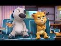 Singing Competition | Talking Tom & Friends | Cartoons for Kids | WildBrain Zoo