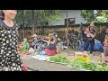 Daily life: 13 year old girl harvests melons to sell for a living - What happened to the single mom?