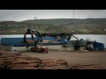 A story about swedish wood