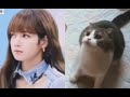 Lisa is real a cute cat # meow # black pink # cat