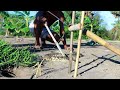 Easy Snake Trap Creative Method DIY Snake Trap Using Bamboo  That Work 100
