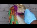 #40 How to color hair PROFESSIONALLY at home no stained lace Rainbow hair tutorial