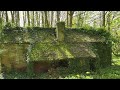 The Abandoned and Overgrown House in the Woods