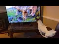 Adorable Puppy Reacts To The LionKing  Dog / Dog watching TV/ Emotional Reaction To The Lion King 🥰