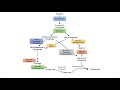 Fructose Metabolism: Absorption, Fructolysis, Regulation and Role in Obesity