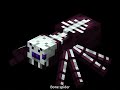 Minecraft all spider