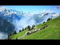 Heavenly Switzerland _ Gorgeous Gem In Swiss Alps🇨🇭Schynige Platte Mountain View