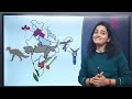 MAP OF INDIA (भारत का नक्शा ) | India Map 2023 | Indian Geography by Richa Ma'am