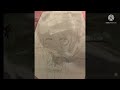 A drawing of mikasa for 1 minute and 28 seconds