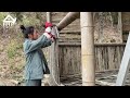 Full Video: 30 days Building Warm Survival Shelter, Bushcreaft Bamboo house | Leaving city