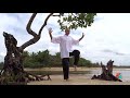 Qi Gong des 5 animaux - (五禽戏 WU QIN XI) - Séance complète. Qi Gong of 5 animals, Full session