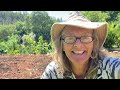 Abundant Harvest in our Wildlife Friendly Garden in Portugal