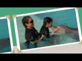 Atlantis Dolphin Cay