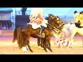 Musical Ride of The Household Cavalry Mounted Regiment (  Evening Performance)