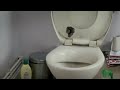 poo walks and jumps into toilet