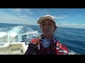 HOW TO FIND MAHI - Fishing for Pelagic Offshore Fish