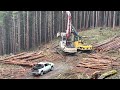 Logging in Forks, Wa