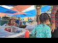 Process of making dried bamboo shoots for food storage, Daily life/Le Thi Hon