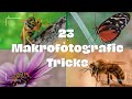 23 tips and tricks for better macro photos / Macro photography / Learn photography