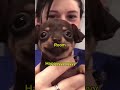 Happy #trending #viral #cute #dog #puppy