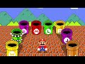 Can Mario and Tiny Mario Collect the Door of Items?