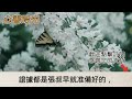 家暴的父親找到我時我正在天橋底下擺攤算命他嘲笑著掏出一百塊讓我算算 不料我並不會算命而是言靈師說過的話句句屬實必成真一句話讓他傻眼了 #心書時光 #為人處事 #生活經驗 #情感故事 #唯美频道 #爽文