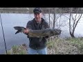 Spring Catfish. Cook & Catch!