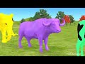 Animal Paint 🎨 amazing tiger dog cow gorilla super entertainment 🔥