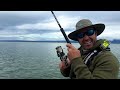 New Zealand Harbour Fishing at it's Very Best! (Successful Meat Hunt)